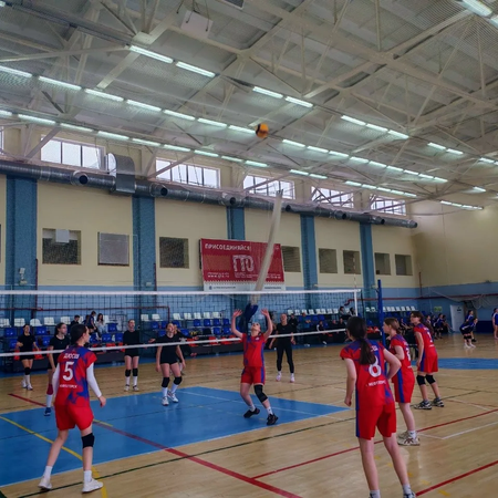 Зональный этап областных соревнований школьной спортивной лиги по волейболу