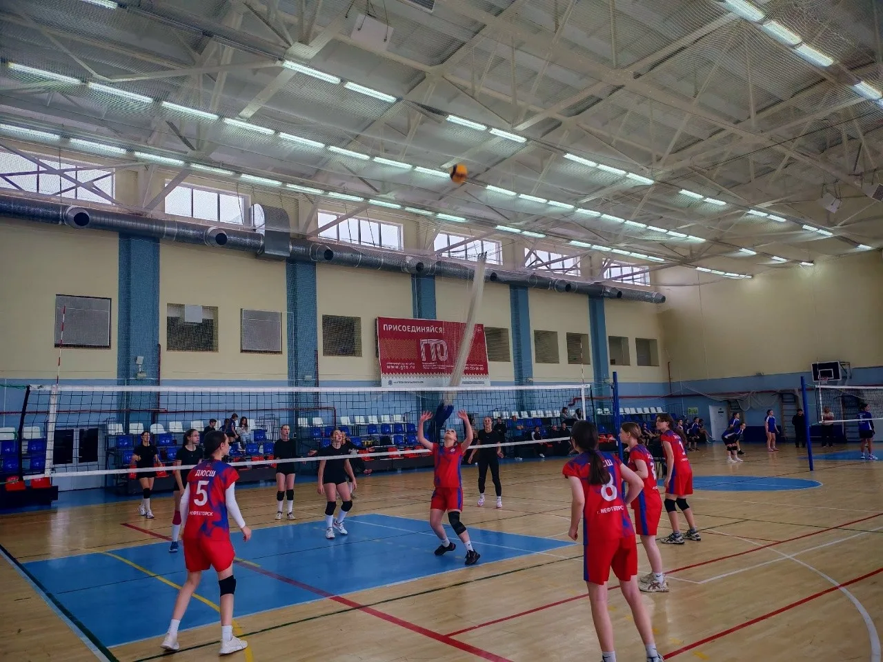 Зональный этап областных соревнований школьной спортивной лиги по волейболу